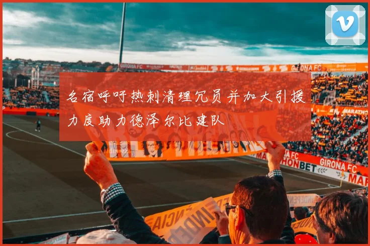 名宿呼吁热刺清理冗员并加大引援力度助力德泽尔比建队