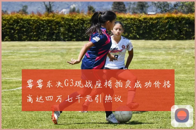 霉霉东决G3观战座椅拍卖成功价格高达四万七千元引热议